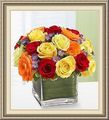 Designs Unlimited Floral & Gifts, 125 W Main St, Arcadia, WI 54612, (608)_323-7773